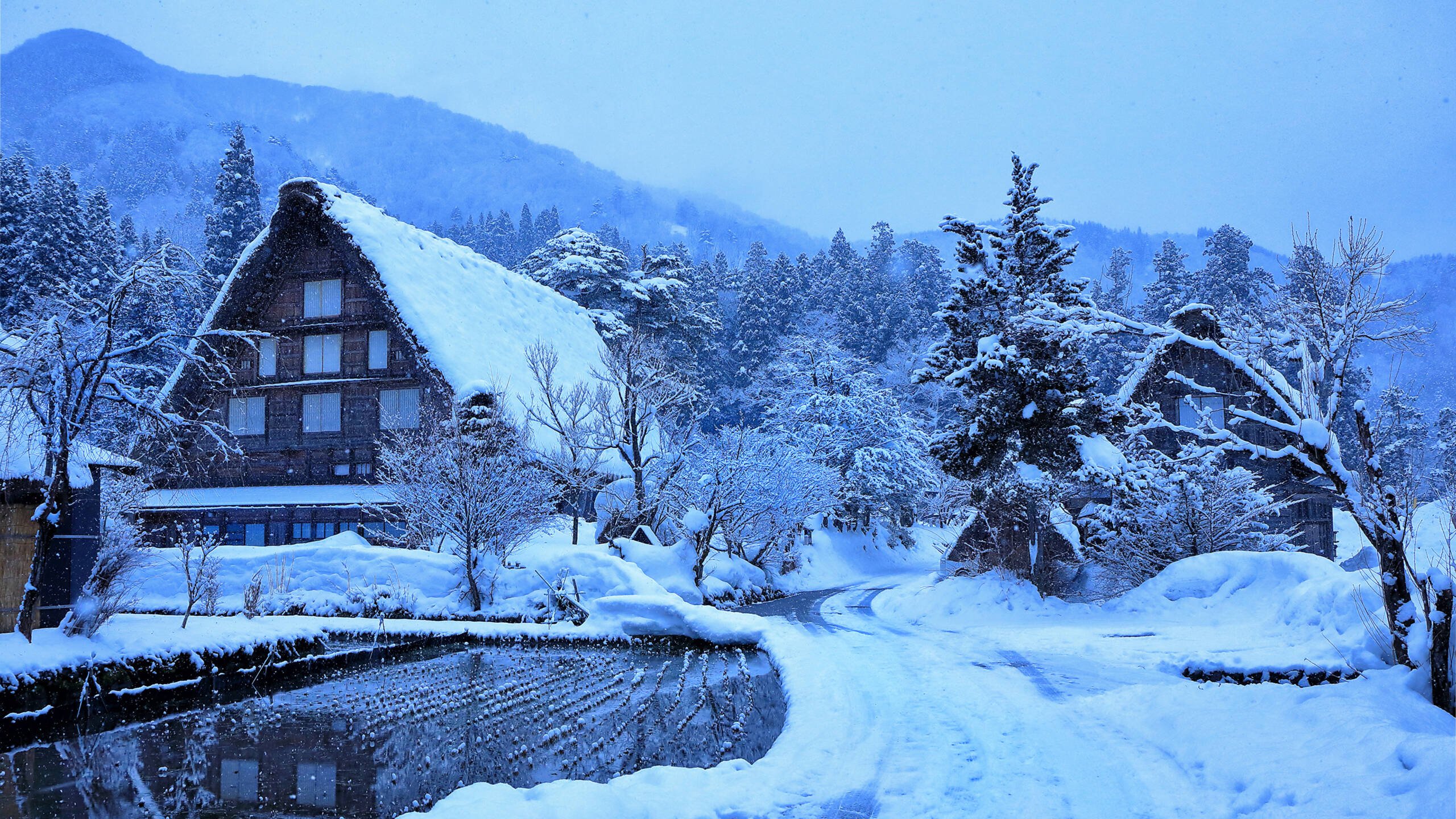 _Shirakawa_Snow_Village